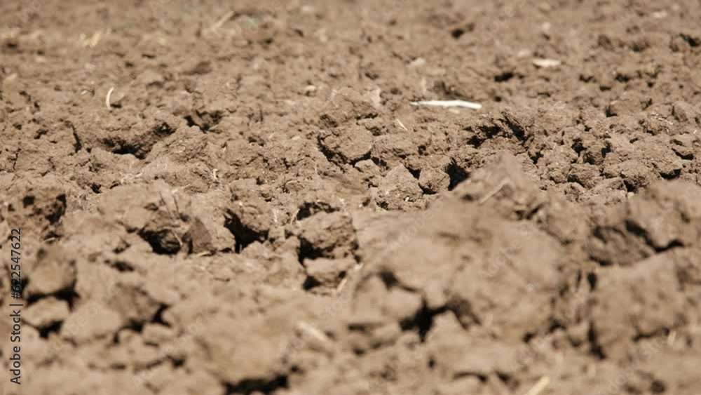 The camera is placed on the ground, showing a close up of dry plowed soil. the focus is changing slowly back and forth, moving our attention to a more distant clods of dirt. The camera is placed on the ground, showing a close up of dry plowed soil. the focus is changing slowly back and forth, moving our attention to a more distant clods of dirt.