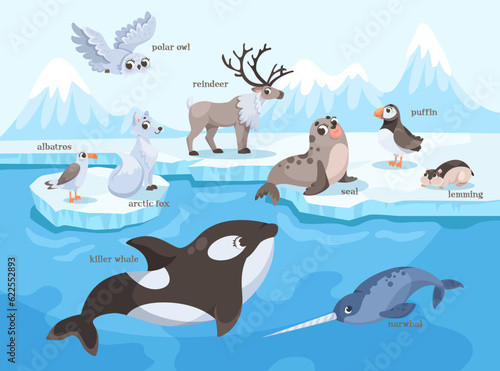 Arctic and North Animal on Ice Plate and Swimming Vector Illustration