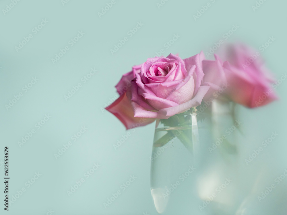 Pink rose bouquet with light distorting object, light blue background, selective focus. Decoration in a house concept. Light and airy look. Pink rose bouquet with light distorting object, light blue background, selective focus. Decoration in a house concept. Light and airy look.