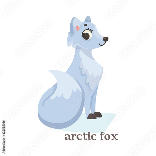 White Arctic Fox Sitting as Animal of North Vector Illustration