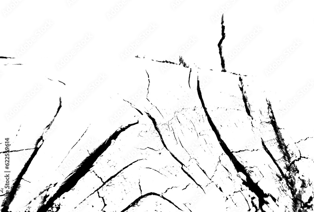 Obraz premium Biały popękany kamień tło