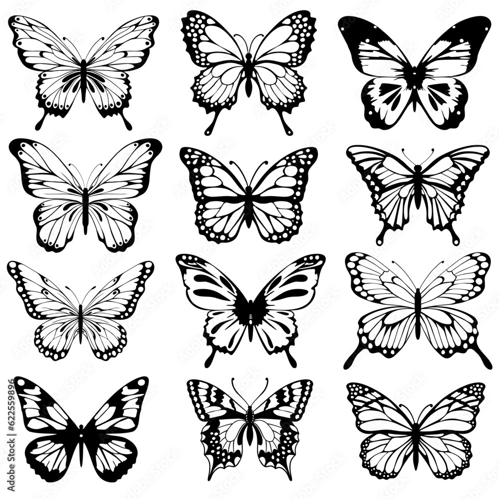 Collection of different butterflies, outlined sketches of flying insects. Engraved hand-drawn vector illustration isolated on white background Collection of different butterflies, outlined sketches of flying insects. Engraved hand-drawn vector illustration isolated on white background