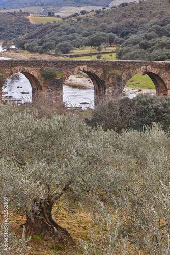 Traditional stone bridge in Alagon river. Sotoserrano, Castilla y Leon photo