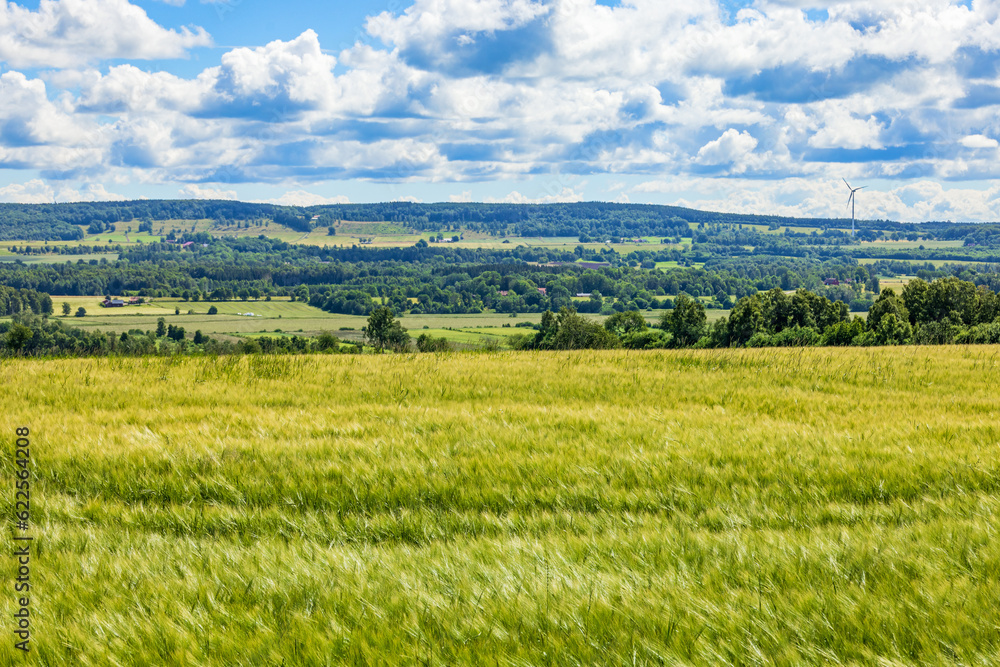 View at the countryside by a field with crops