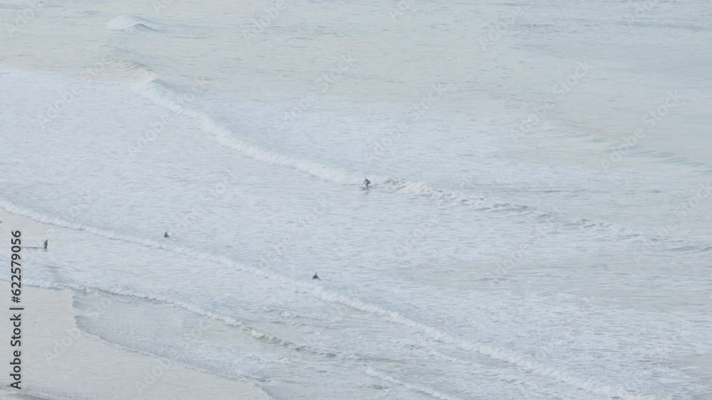 Surfer catching wave at Castle Point Beach in New Zealand, Wide Shot Surfer catching wave at Castle Point Beach in New Zealand, Wide Shot