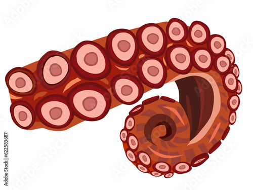 fresh squid category seafood ingredients