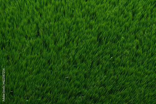 Wallpaper Mural High detailed Close up of fresh spring grass. Green lawn, green grass texture background pattern for walllpaper, background and design art work Torontodigital.ca