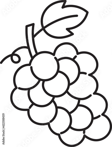 grape healthy fruit nature food