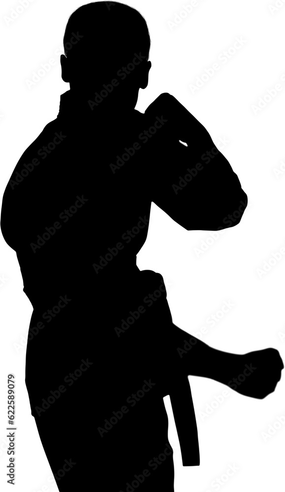 Digital png silhouette image of male martial artist on transparent background Digital png silhouette image of male martial artist on transparent background