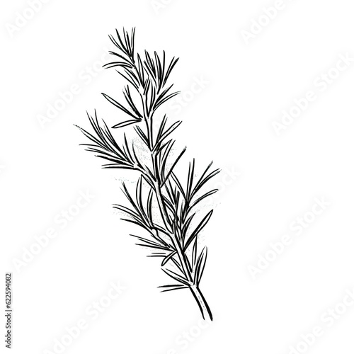 branch rosemary ai generated