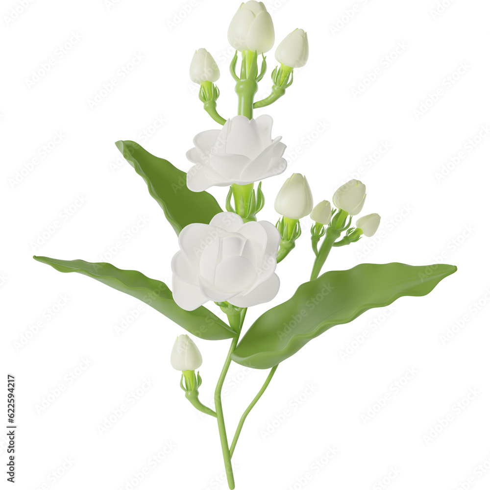 Jasmine Flower 3d Illustration