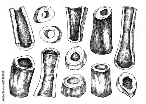 Big marrowbone with meat sketches set. Raw bones isolated on white background. Hand drawn healthy food illustration for butchery, recipes, menu in vintage style.