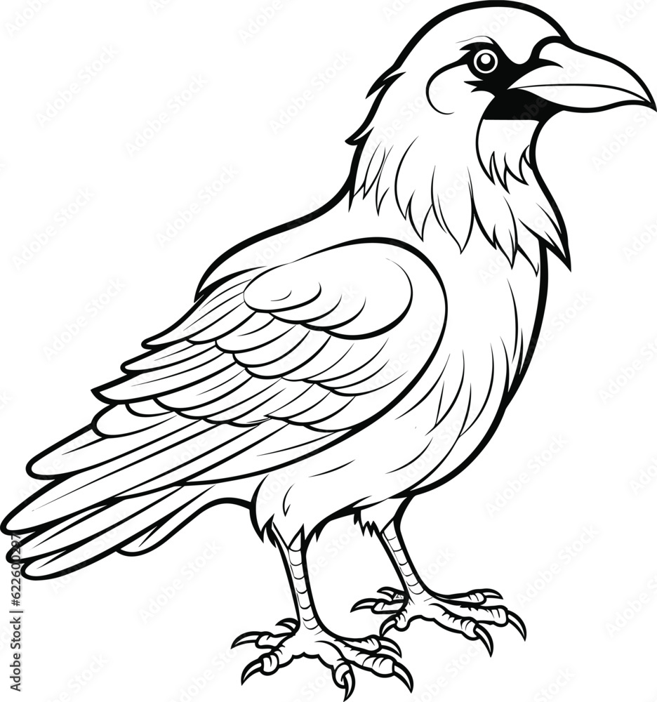 Crow coloring pages vector animals
