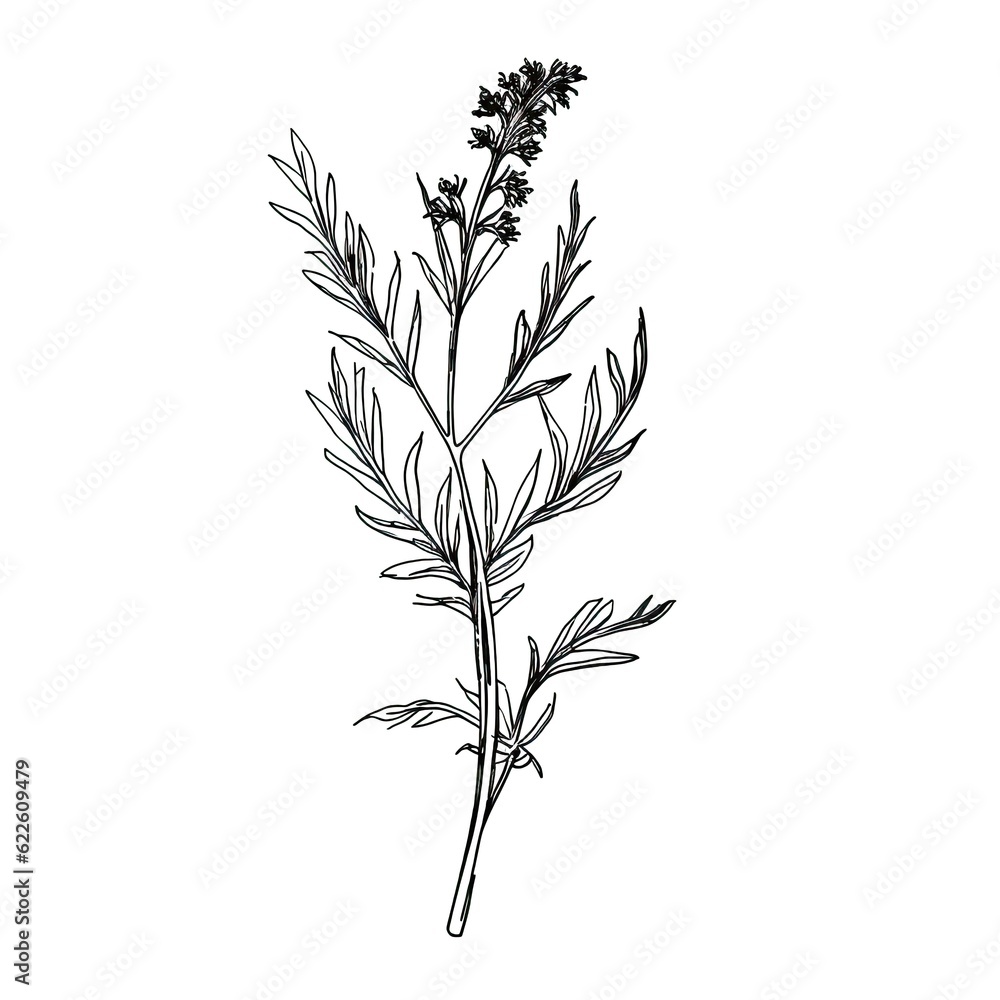 drawing wormwood ai generated drawing wormwood ai generated