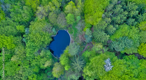 Mountain lake among the forests in the mountains view from a drone from above, trees in green foliage. beautiful landscape in the evening light.
