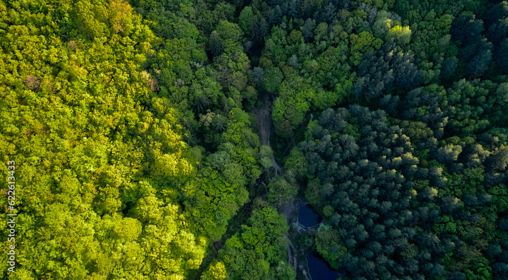 Mountain lake among the forests in the mountains view from a drone from above, trees in green foliage. beautiful landscape in the evening light.