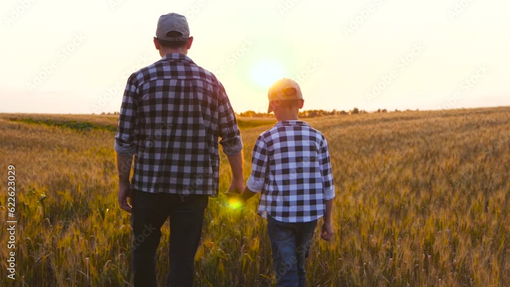 Father and son walk through a wheat field holding hands. A man farmer and a child farmer silhouette at sunset. Family agribusiness. Father and son walk through a wheat field holding hands. A man farmer and a child farmer silhouette at sunset. Family agribusiness.