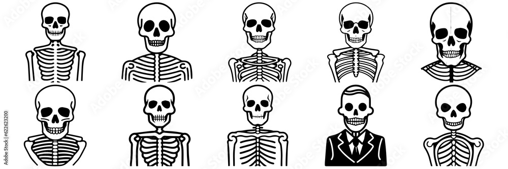Skeleton silhouettes set, large pack of vector silhouette design, isolated white background Skeleton silhouettes set, large pack of vector silhouette design, isolated white background