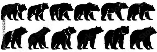 Bear silhouettes set  large pack of vector silhouette design  isolated white background