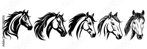 Horse silhouettes set, large pack of vector silhouette design, isolated white background