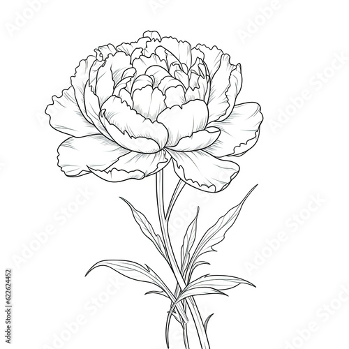 plant Peony flower ai generated