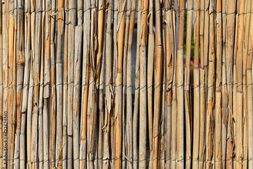 reeds fence texture