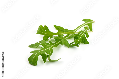 Fresh arugula  ruccola leaves  isolated on white background.