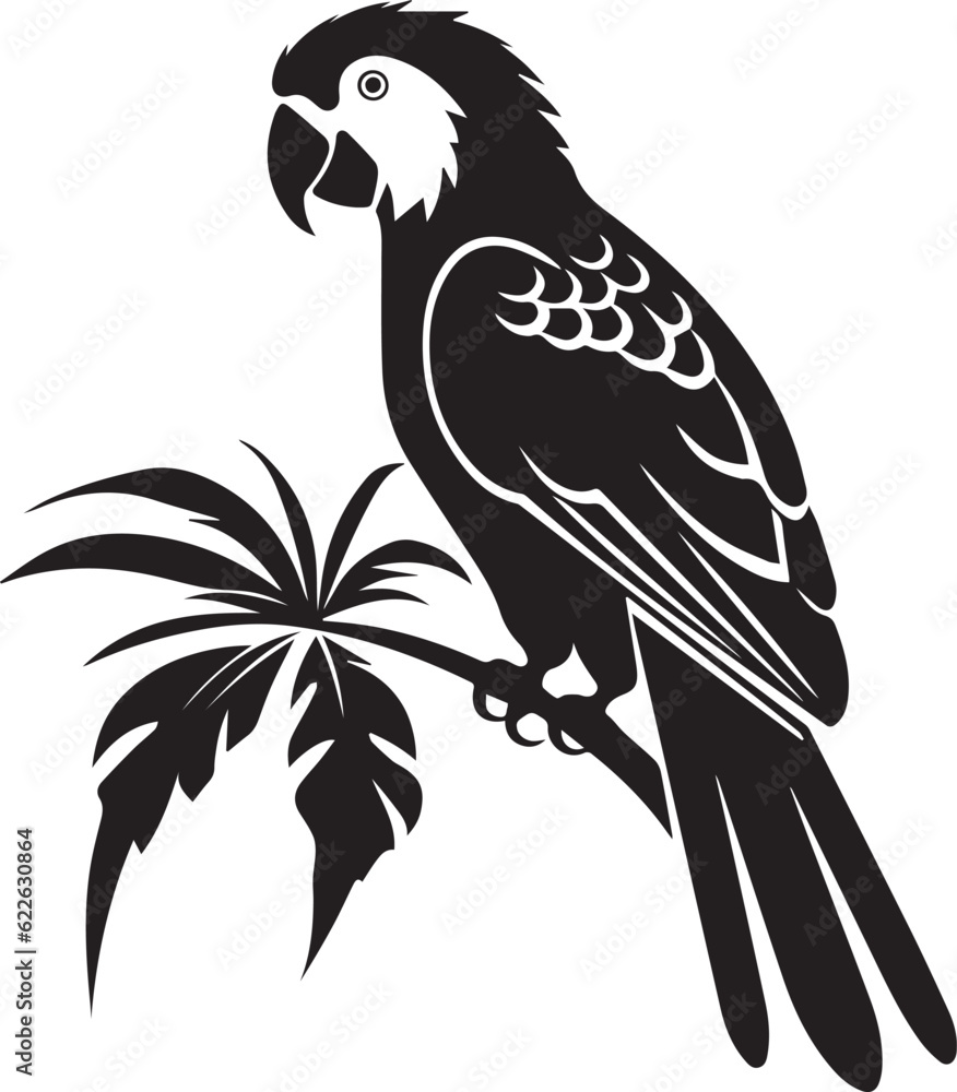 Parrot Black And White, Vector Template Set for Cutting and Printing Parrot Black And White, Vector Template Set for Cutting and Printing