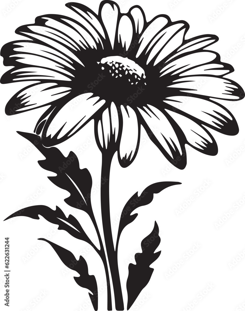 Shasta Daisy Black And White, Vector Template Set for Cutting and