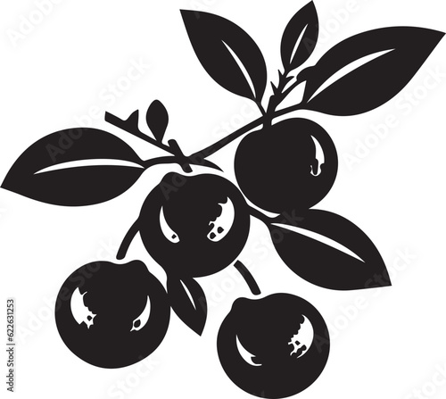 Sloe Black And White, Vector Template Set for Cutting and Printing