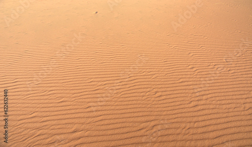 Sand Dune texture abstract background - Sahara desert