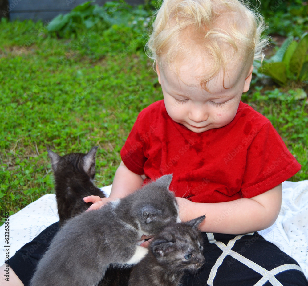 Cute kittens playing with a little boy in the park Cute kittens playing with a little boy in the park