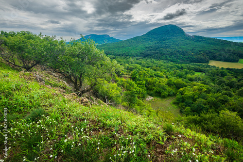 Classical hungarian landscape of Balaton Uplands, Kali-Basin, Hungary