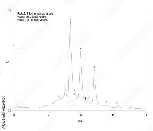Chromatogram of MAb seperation, C-terminal Lys variants, acidic variants, basic variants