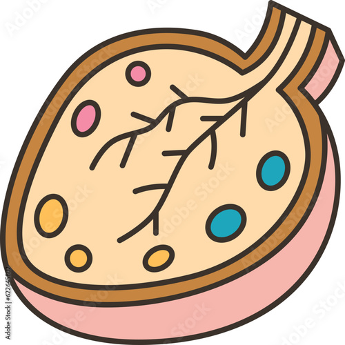 ovary  icon