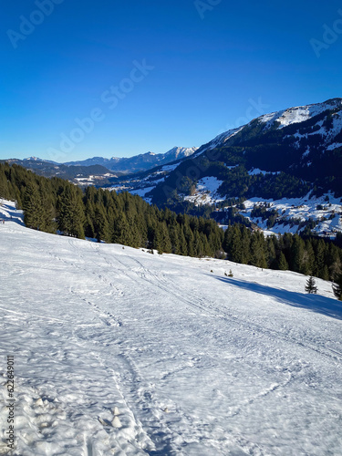 Ski region of Kleinwalsertal, Austria