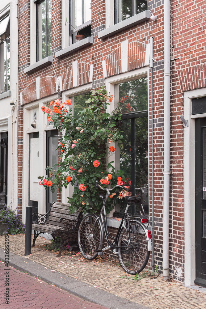 bicycle leaning against the brick wall of a house with a rose bush