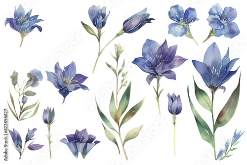  Watercolor Clipart of Gentian, Generative AI photo