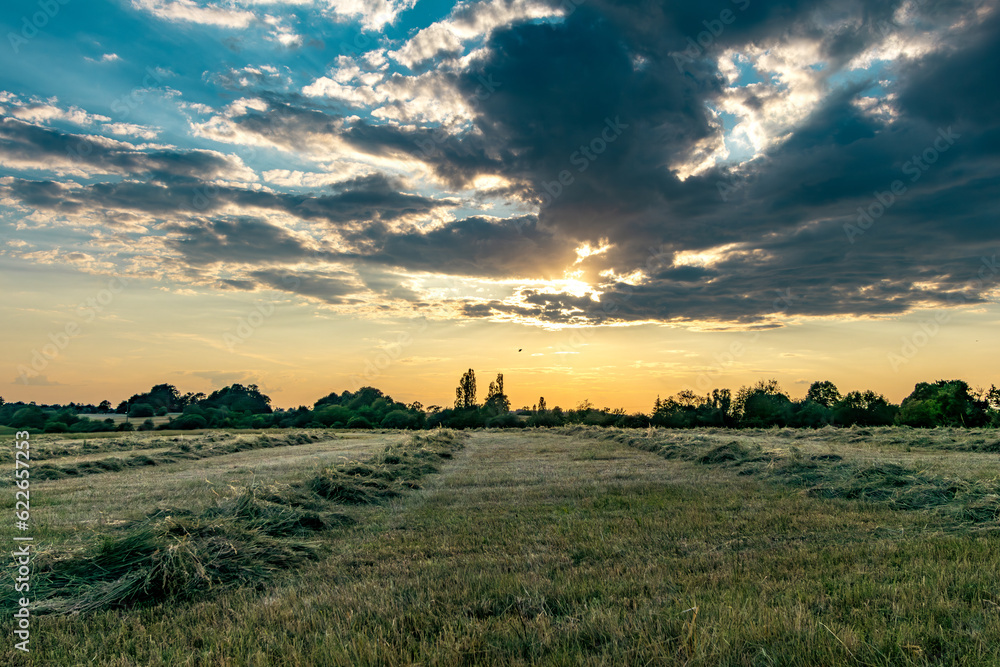 Beginning blue hour in the country