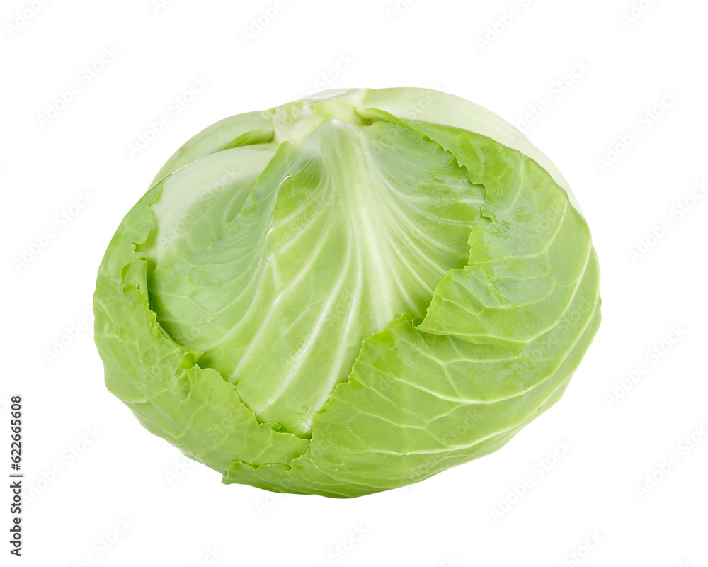 Green cabbage isolated on transparent png Green cabbage isolated on transparent png