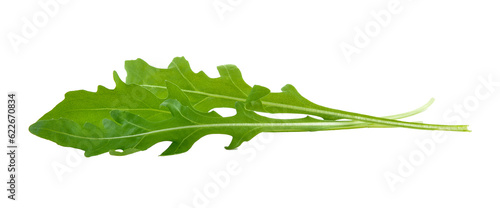 Sweet rucola salad or rocket lettuce leaves isolated on transparent png
