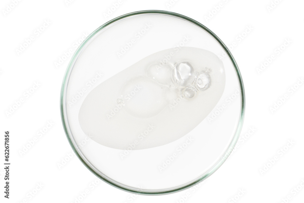 Petri dish isolated on empty background. A smear of a transparent gel, serum in a Petri dish. Petri dish isolated on empty background. A smear of a transparent gel, serum in a Petri dish.