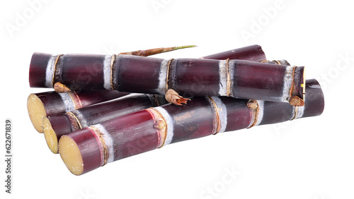 sugarcane on transparent png