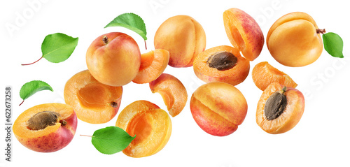 Ripe apricots and apricot slices flying in air on white background. File contains clipping paths.