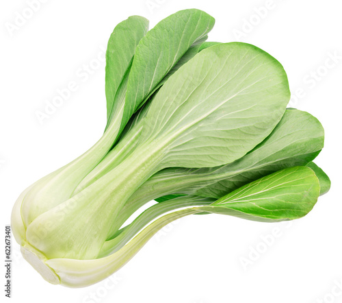 Bok choy or chinese cabbage isolated on white background. File contains clipping path.