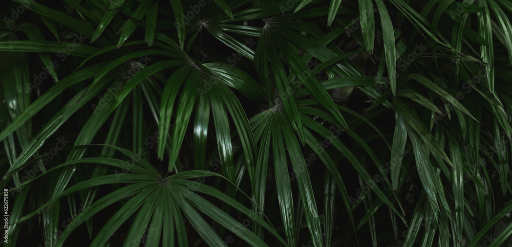Natural green leaves Background texture leaves Natural green leaves Background texture leaves