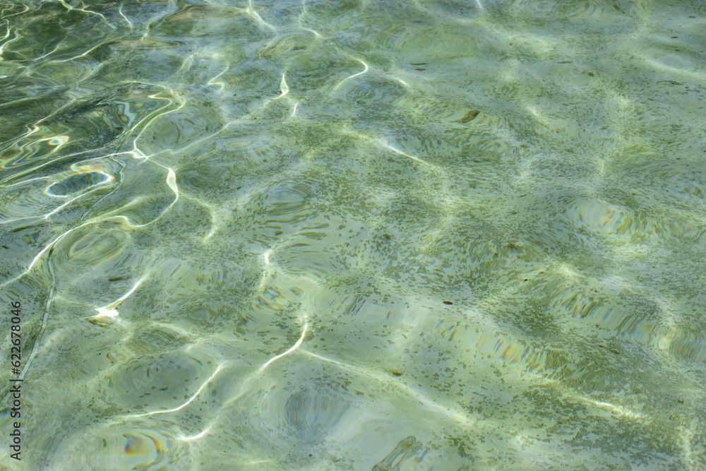 Obraz premium waved water in basin - attractive surface - background