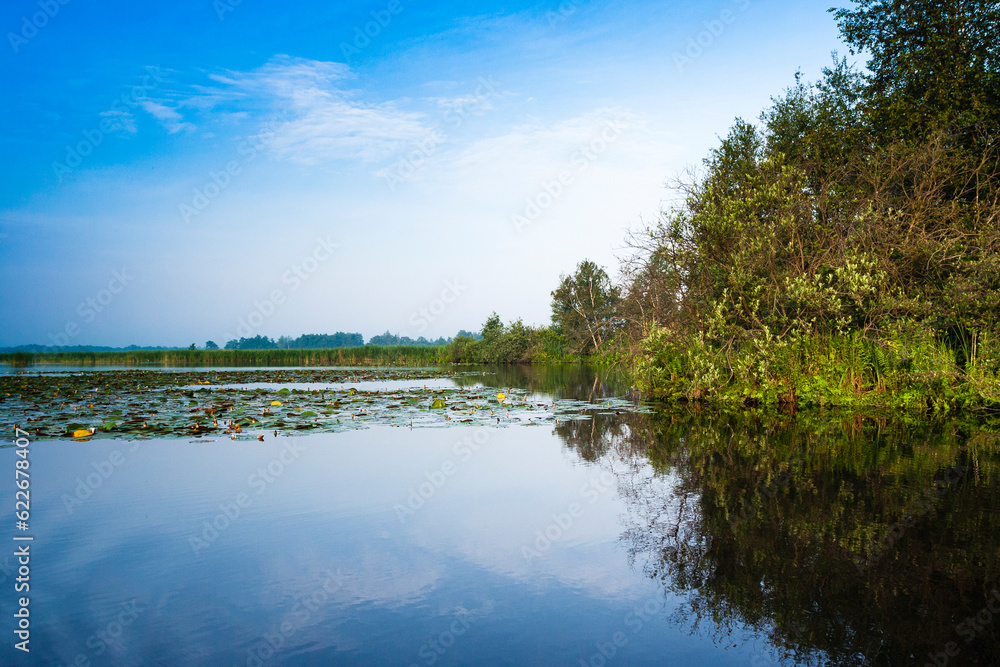 Fototapeta premium Landscape at Nieuwkoopse Plassen