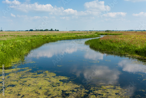 Nature area De Wilck photo