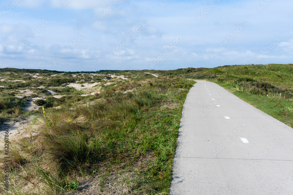 Road at the Zuidduinen